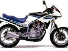 Suzuki GF 250S